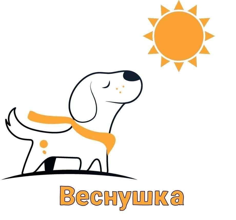 Зоозащитная акция «Веснушка&amp;quot;.